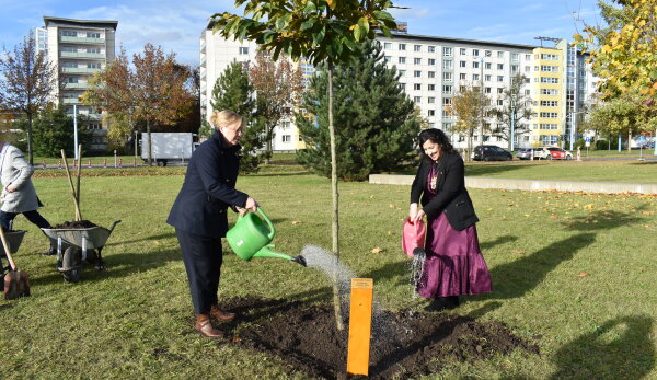 Bürgermeisterin Dagmar Ruscheinsky und Oberbürgermeisterin Yasmine Dar stehen neben einem frisch gepflanzten Baum im Moritzpark auf einer grünen Wiese. Beide halten eine Gießkanne in der Hand und bewässern den Baum. Im Hintergrund stehen Bäume und die Wohnblöcke an der Bahnhofstraße sind abgebildet. Der Himmel ist blau mit wenigen Wolken und die Sonne scheint.