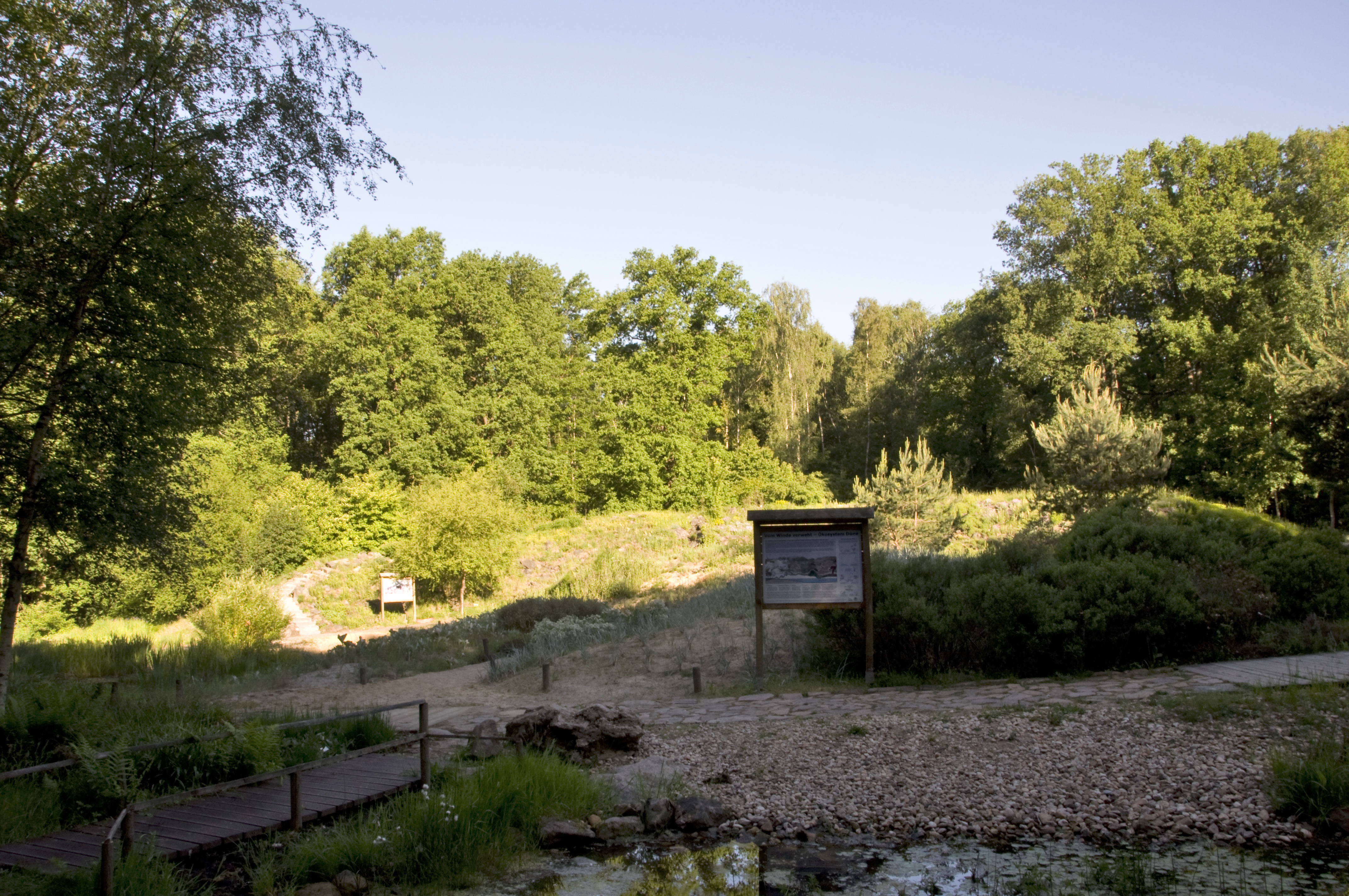 Düne und Steppenhügel im Botanischen Garten