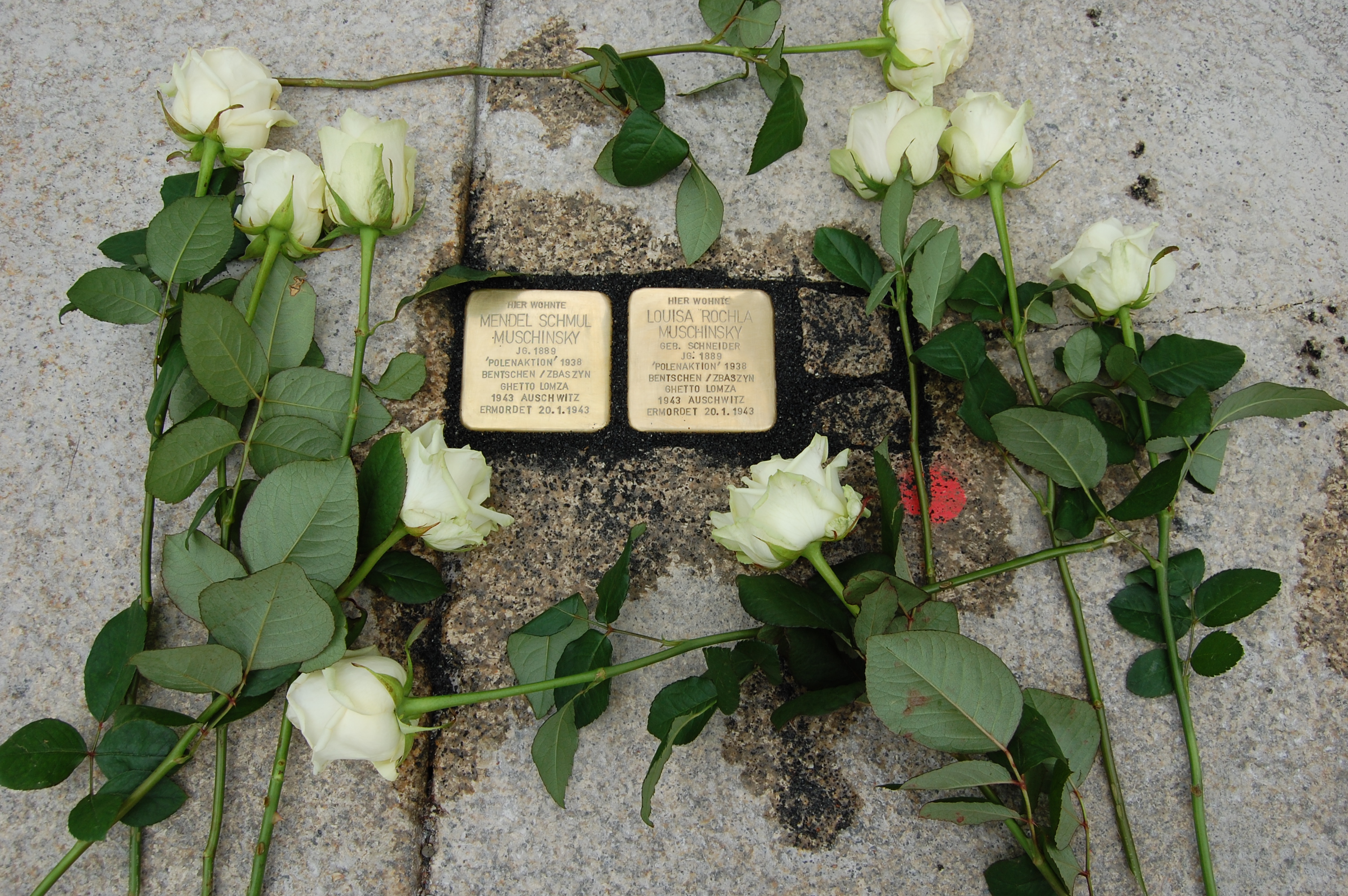 Stolpersteine Familie Muschinsky