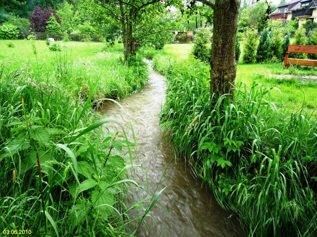 Naturnaher Bach